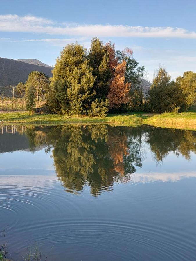20 Good Summers Farm Stay The Crags Eksteriør bilde
