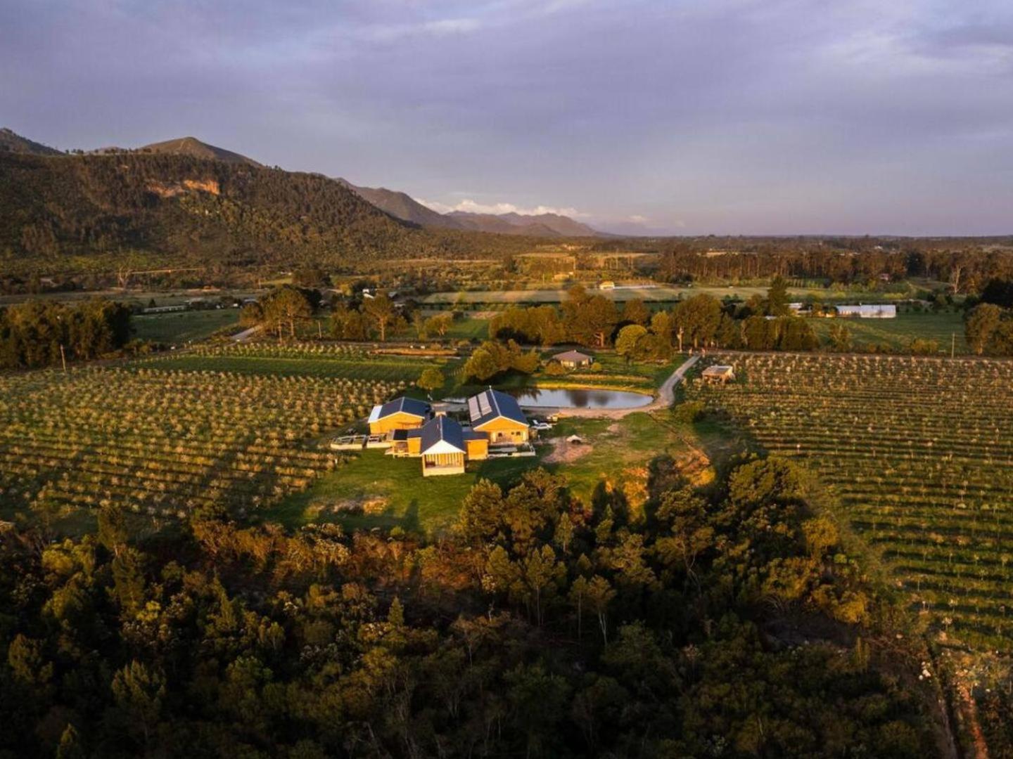 20 Good Summers Farm Stay The Crags Eksteriør bilde