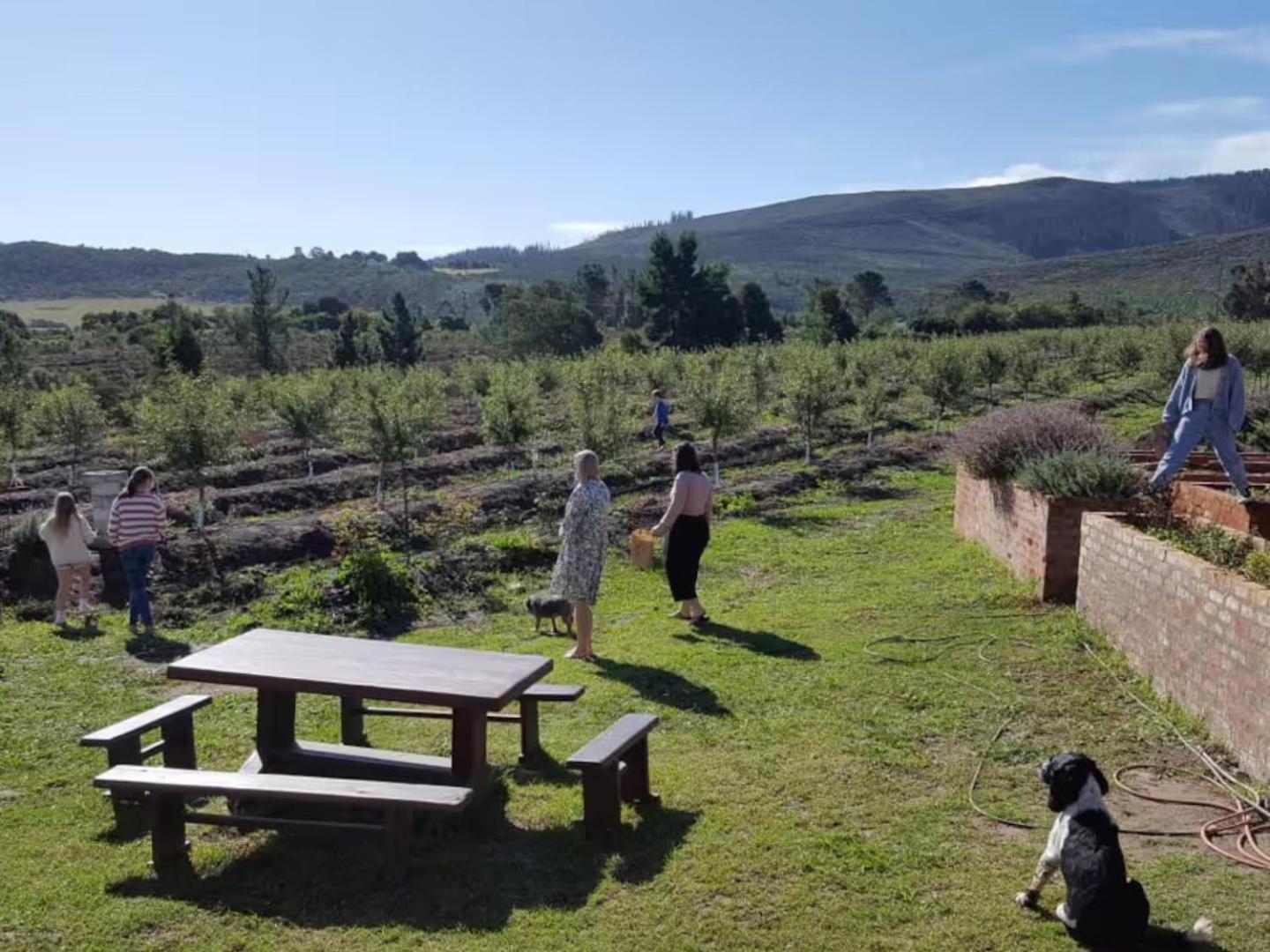 20 Good Summers Farm Stay The Crags Eksteriør bilde