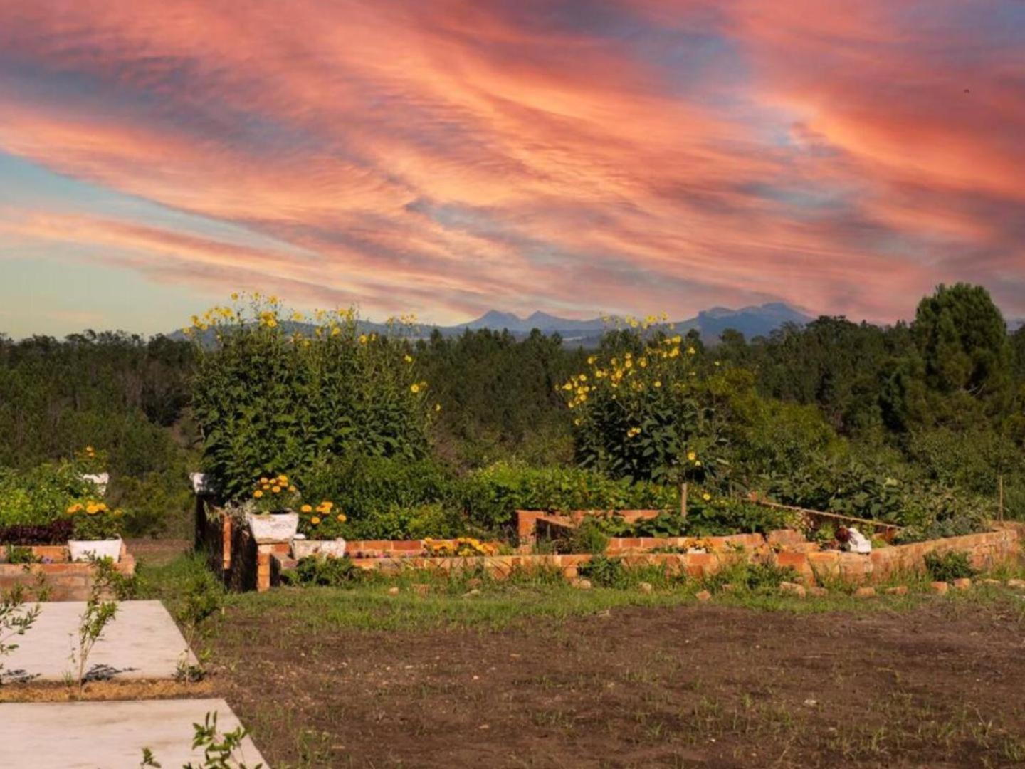 20 Good Summers Farm Stay The Crags Eksteriør bilde