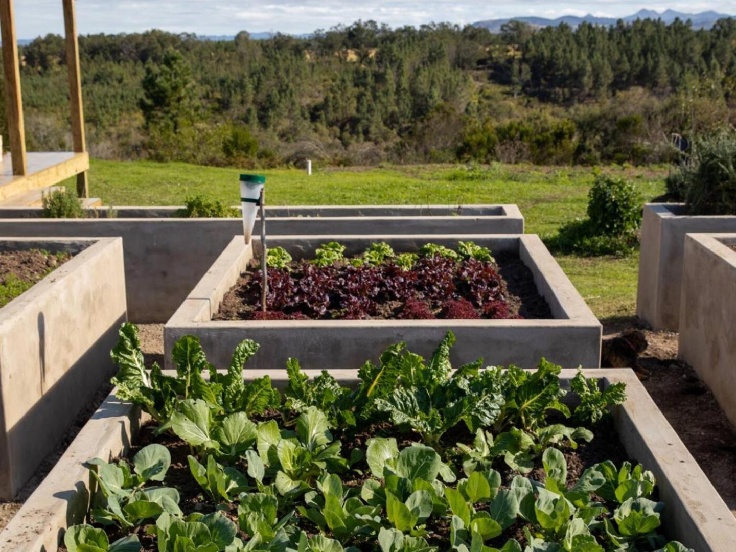 20 Good Summers Farm Stay The Crags Eksteriør bilde