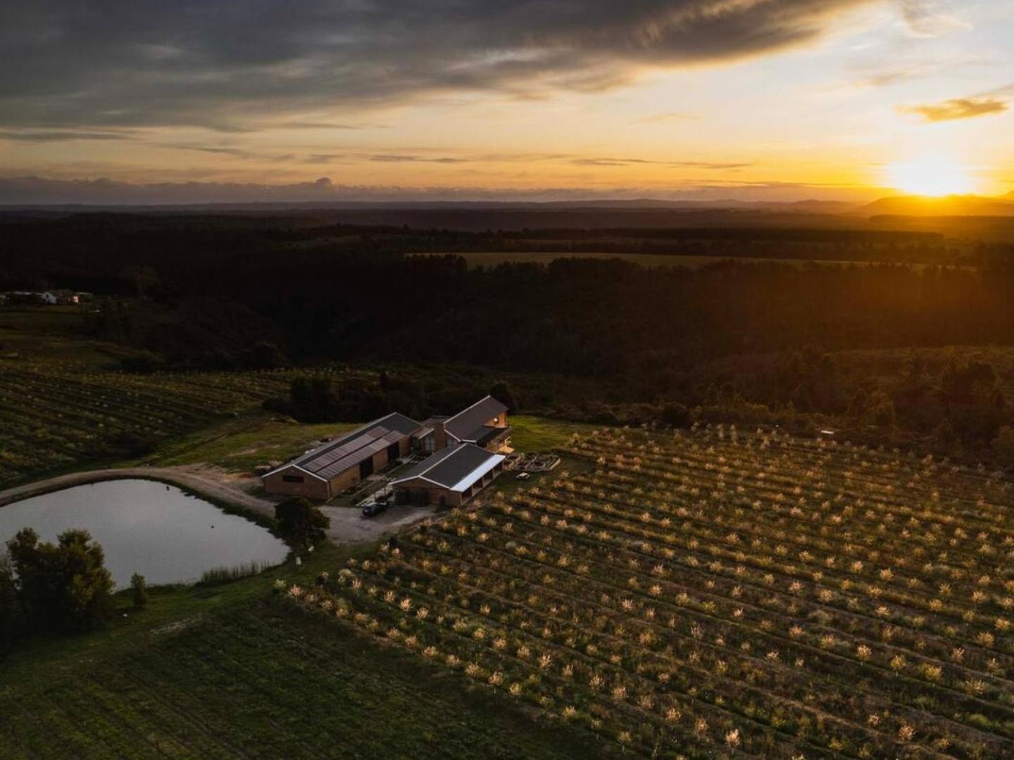 20 Good Summers Farm Stay The Crags Eksteriør bilde